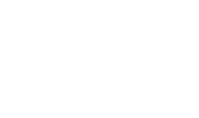flare-logo2