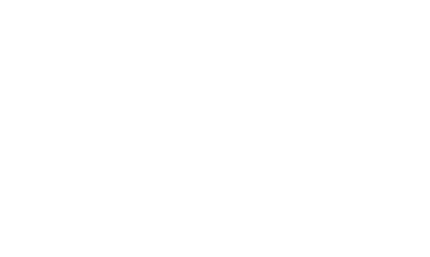 flare-logo2